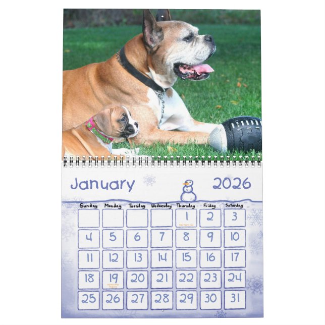 Boxer Puppies 2010 Calendar (Jan 2026)