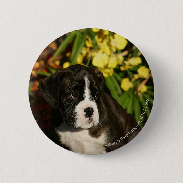 Boxer Puppies 2 Inch Round Button (Front)
