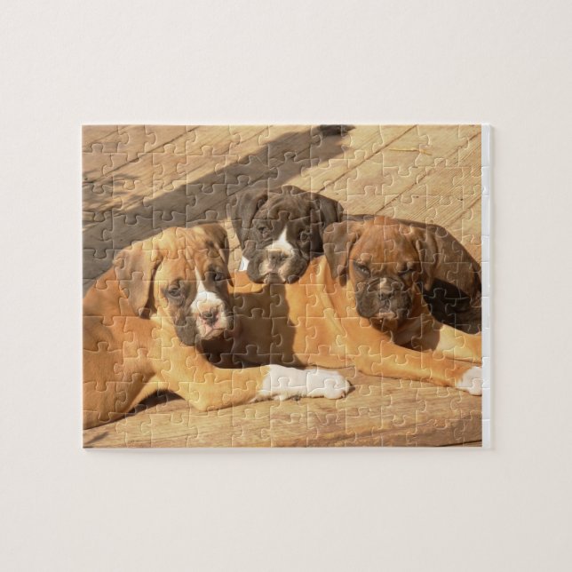 Boxer puppies 8x10 Photo Puzzle with Tin (Horizontal)