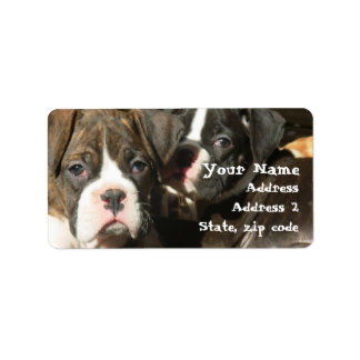 Boxer puppies Address Labels