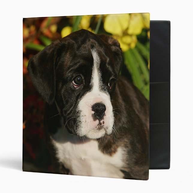 Boxer Puppies Binder (Front/Inside)