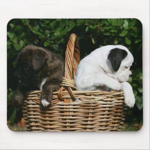 Boxer Puppies in Basket Mouse Pad