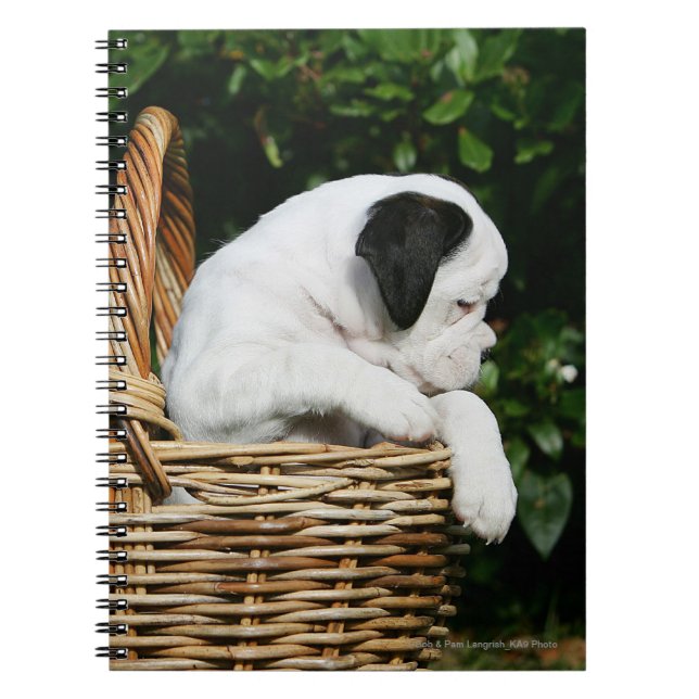 Boxer Puppies in Basket Notebook (Front)