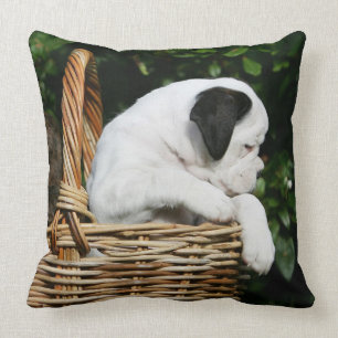Boxer Puppies in Basket Throw Pillow