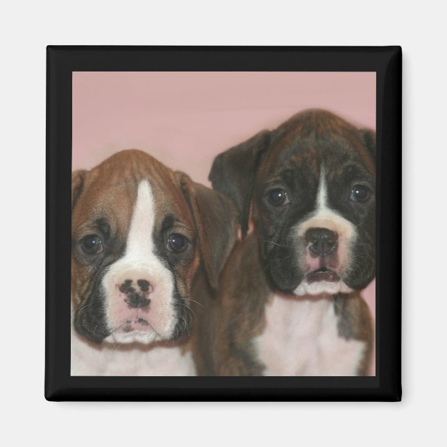 Boxer Puppies magnet (Front)