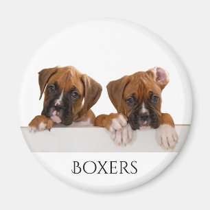 Boxer Puppies Magnet