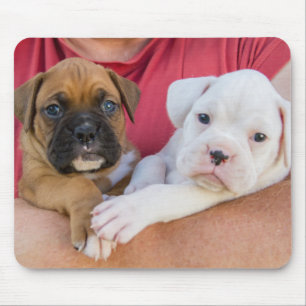 Boxer Puppies Mouse Pad