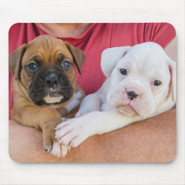 Boxer Puppies Mouse Pad (Front)
