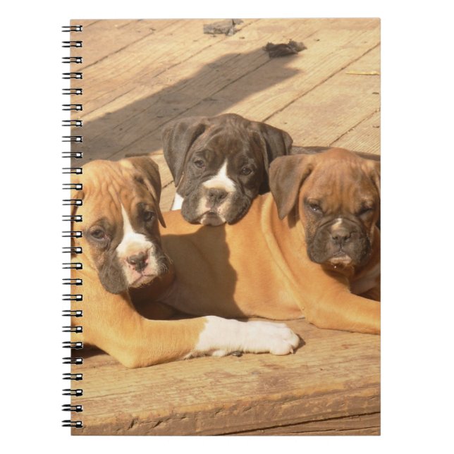 Boxer puppies spiral notebook (Front)