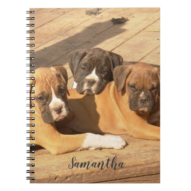 Boxer puppies spiral notebook (Front)