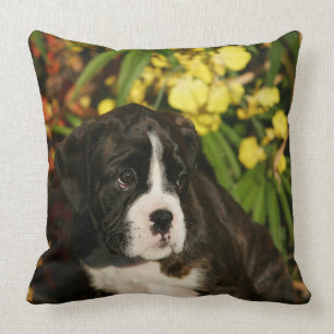 Boxer Puppies Throw Pillow