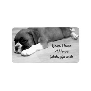 Boxer puppy address labels