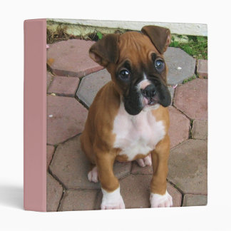 Boxer puppy binder