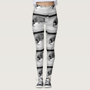 Boxer puppy black and white dog leggings