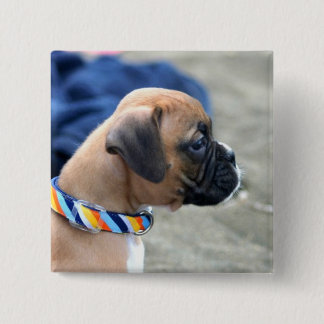 Boxer Puppy button