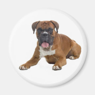 Boxer Puppy Dog Fridge Magnet