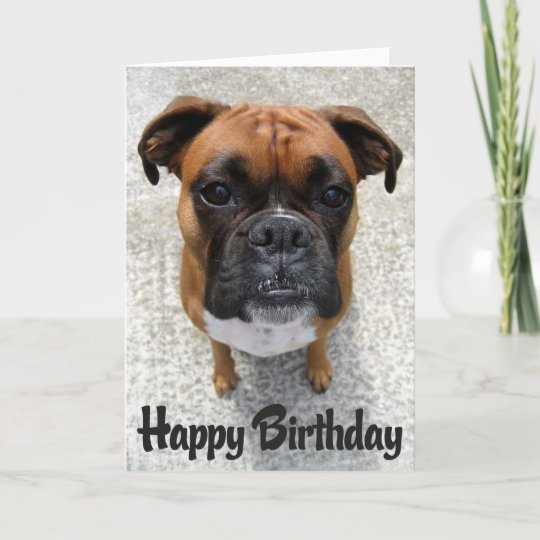 Boxer Happy Birthday From The Dog Theme