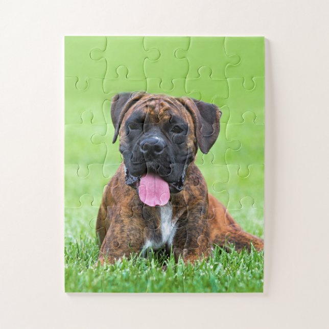 Boxer Puppy Dog Jigsaw Puzzle (Vertical)