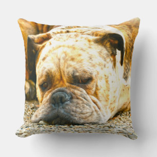 Boxer Puppy Dog Water Colour Oil Paint Art Throw Pillow