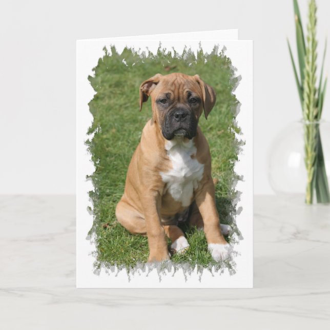 Boxer Puppy Greeting Card (Front)