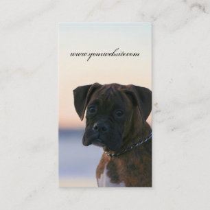 Boxer puppy in evening sky business cards