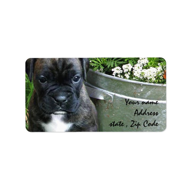 Boxer puppy label (Front)