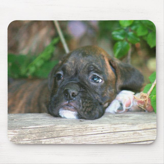 Boxer puppy mousepad (Front)