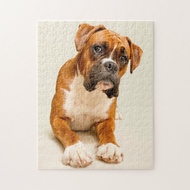 Boxer puppy on ivory cream backdrop. jigsaw puzzle (Vertical)