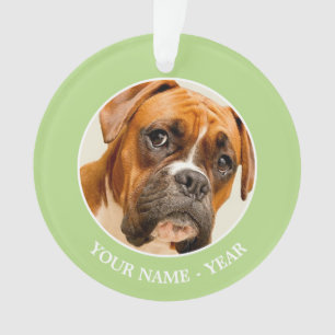 Boxer puppy on ivory cream backdrop. ornament