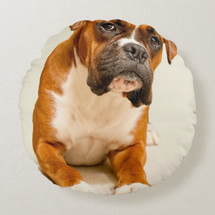 Boxer puppy on ivory cream backdrop. round pillow