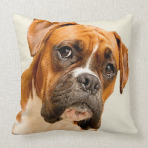 Boxer puppy on ivory cream backdrop. throw pillow