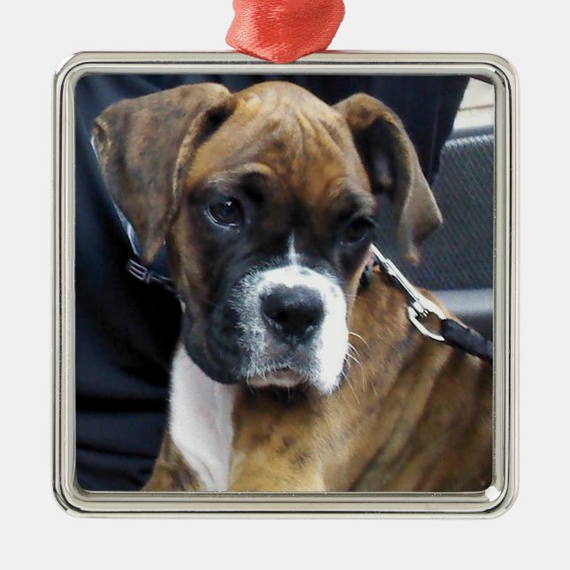 BOXER PUPPY ornament (Front)