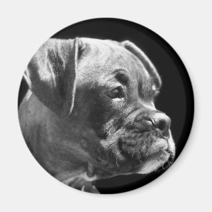 Boxer puppy round magnet