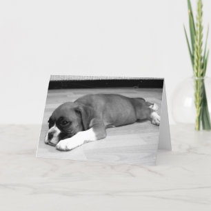 Boxer puppy " Sasha" relaxing greeting card