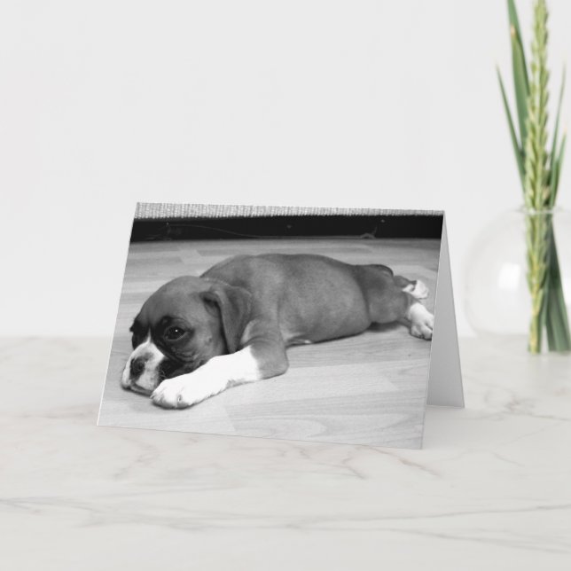 Boxer puppy " Sasha" relaxing greeting card (Front)