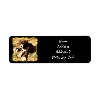 Boxer puppy shipping labels