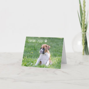 Boxer Pupy Dog Thank You Cards - Boxer Dog
