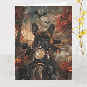 Boxer Riding Motorcycle Halloween Scary  Card
