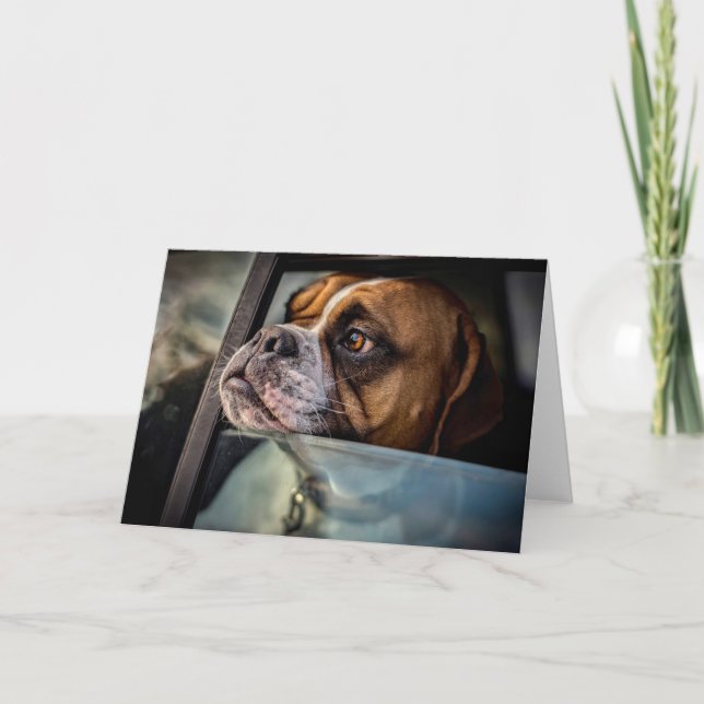 Boxer sent une carte BBQ (Devant)