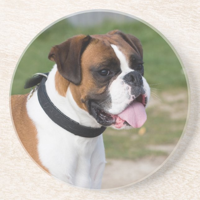 Boxer Sitting Coaster (Front)