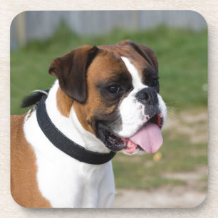 Boxer Sitting Coaster