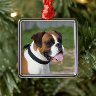 Boxer Sitting Metal Ornament