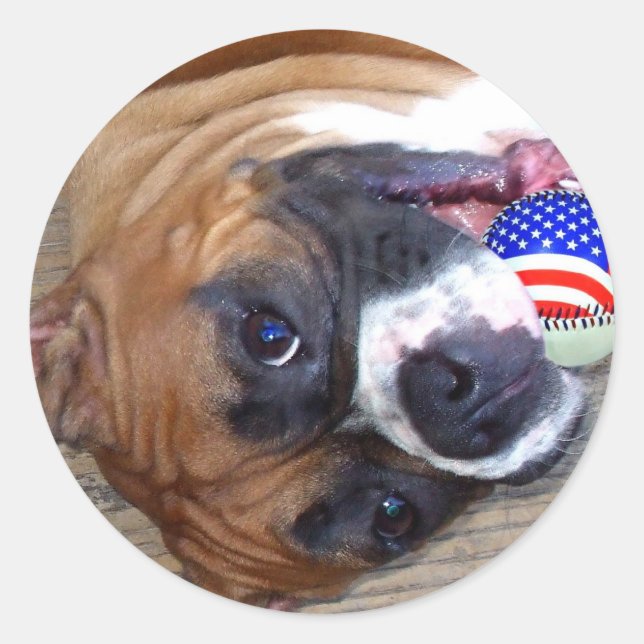 Boxer stickers (Front)