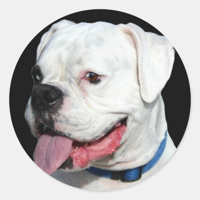 Boxer stickers (Front)