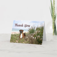 Boxer Thank You Card Hiding In The Beachgrass