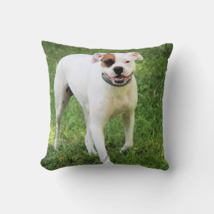 Boxer  throw pillow