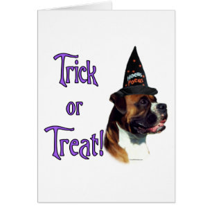 Boxer Trick