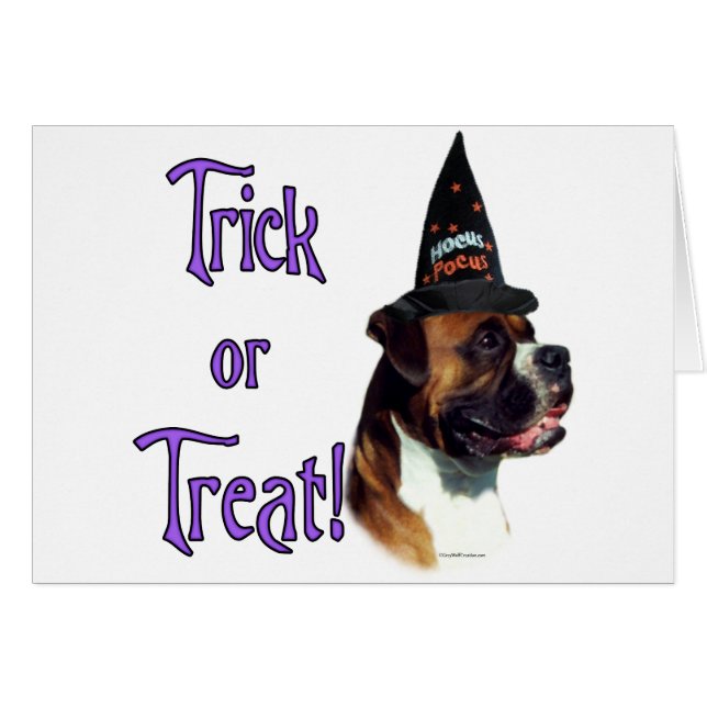 Boxer Trick (Front Horizontal)