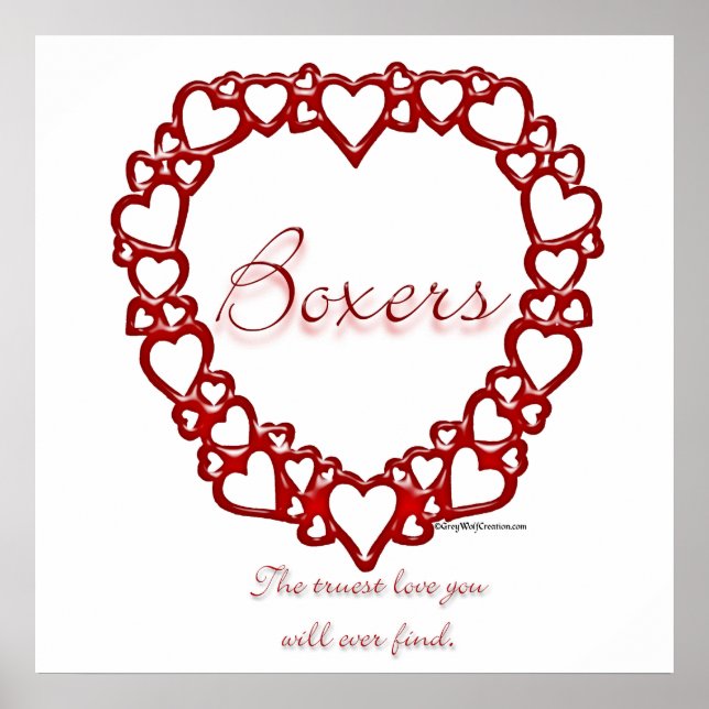Boxer True Love Poster (Front)