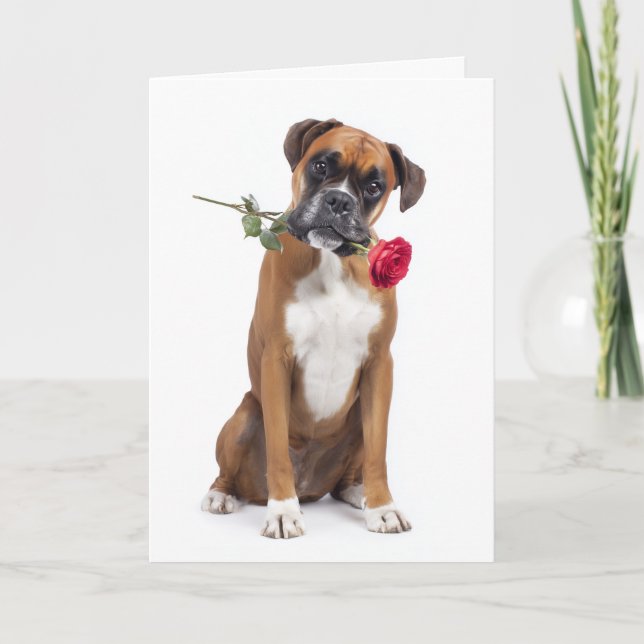Boxer Valentine – Loyal Heart, Playful Soul Card (Front)